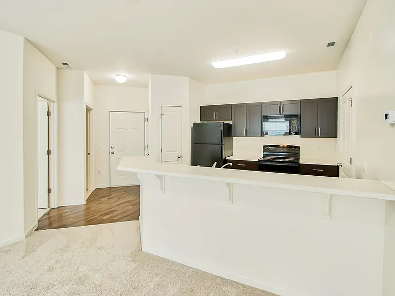 Kitchen and Entry