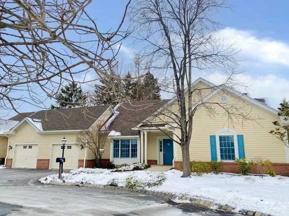 10 Fringe Tree Ct, Princeton, NJ 08540