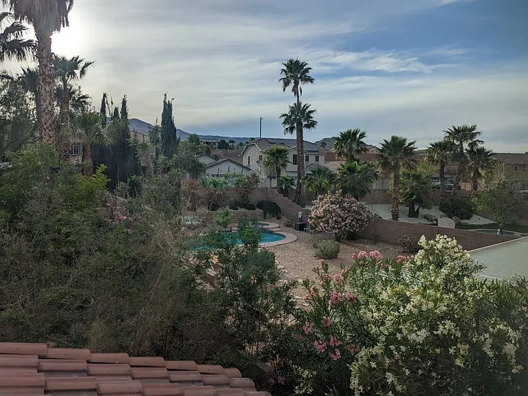 4313 Terrapin Mountain Ave — Photo 33