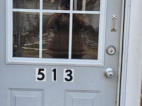 513 5th Ave SW, Red Bay, AL