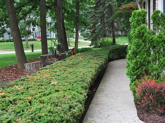 Stamped Concret Pavers