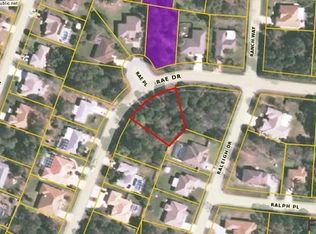 44 Rae Dr, Palm Coast, FL 32164