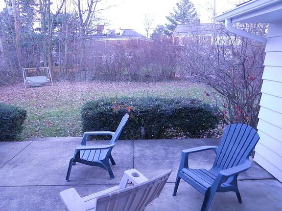 Back Yard/Patio