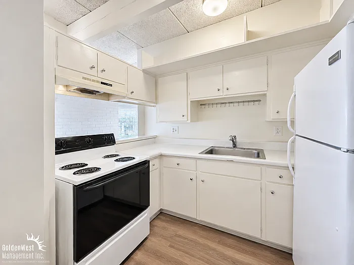 2 bed, 2.0 bath, 1000 sqft, $1,100 — Photo 3