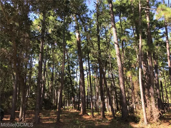 808 Ingraham Pl, Dauphin Island, AL 36528