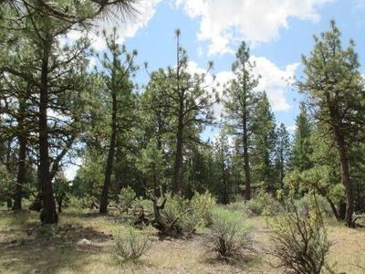 0 Elde St Lot 24, Chiloquin, OR, 97624