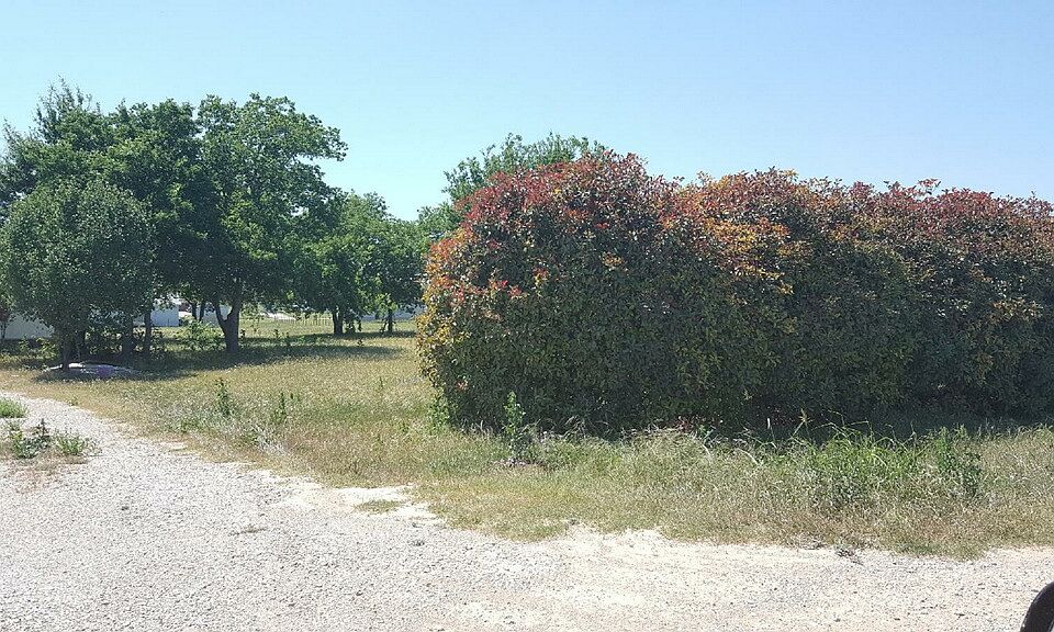 2nd image of 8515 Longhorn Dr