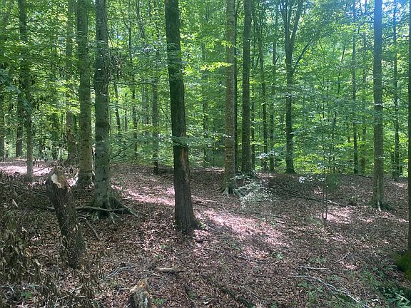 5th image of 0 Coosa County Road 93