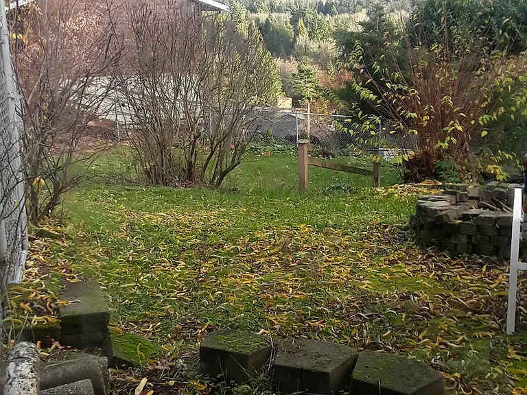 back yard