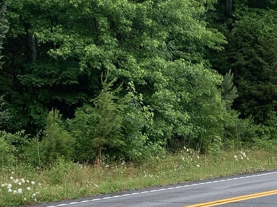 2nd image of 391 Museum Rd