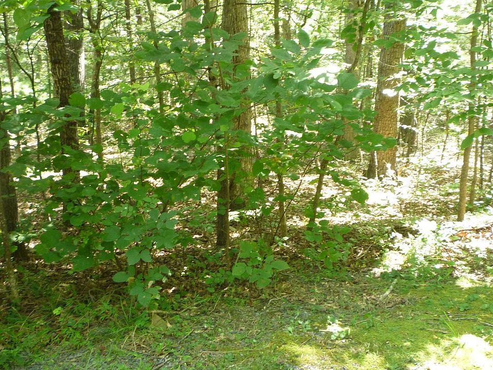 2nd image of 95 Willow Ln