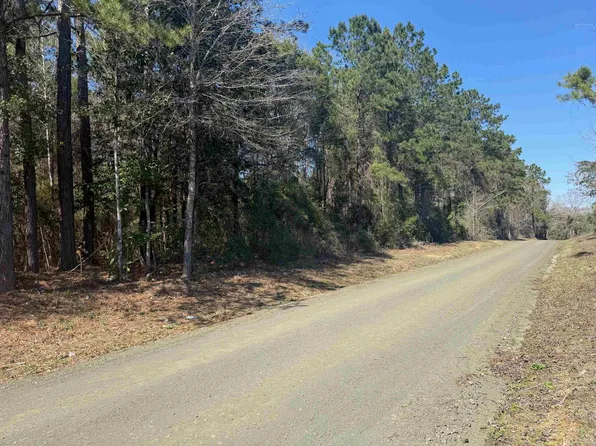 236 County Road 4583, Spurger, TX 77660