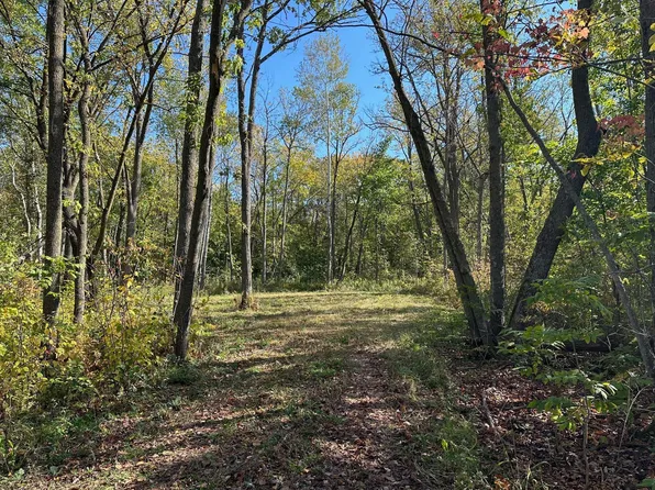 Xx 305th Ave, Pierz, MN 56364