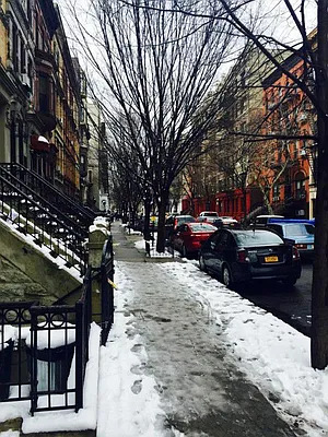 Rented by Charles Coutinho LLC | media 57