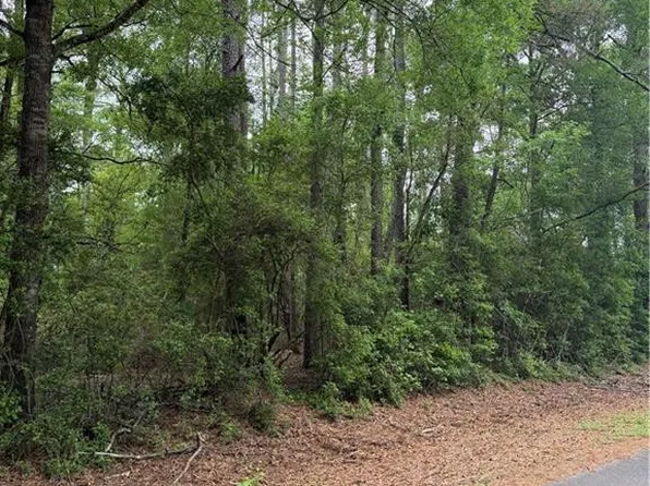 W Saint Charles Ave, Loranger, LA 70446