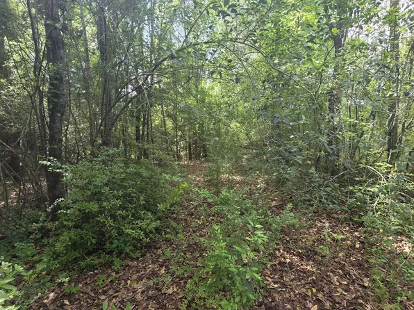 1004 Zone Rd, Magnolia, MS 39652