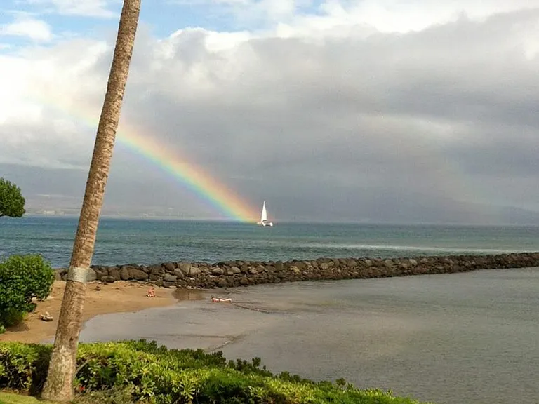30 Hauoli St #301 — Photo 15