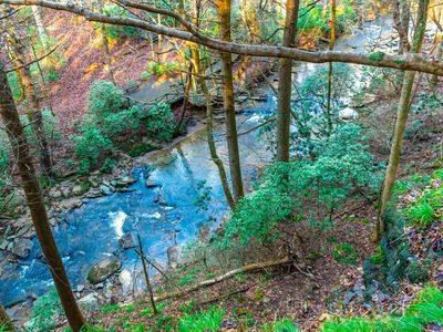 36 Mountain Creek Hollow Dr, Talking Rock, GA, 30175
