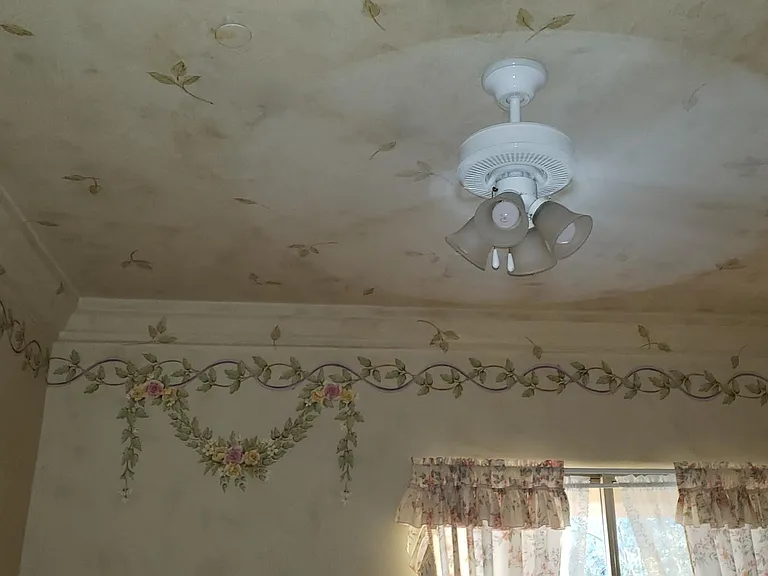 Ceiling and wall features in the southwest Bedroom