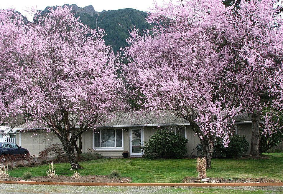 Street View with Mt. Si
