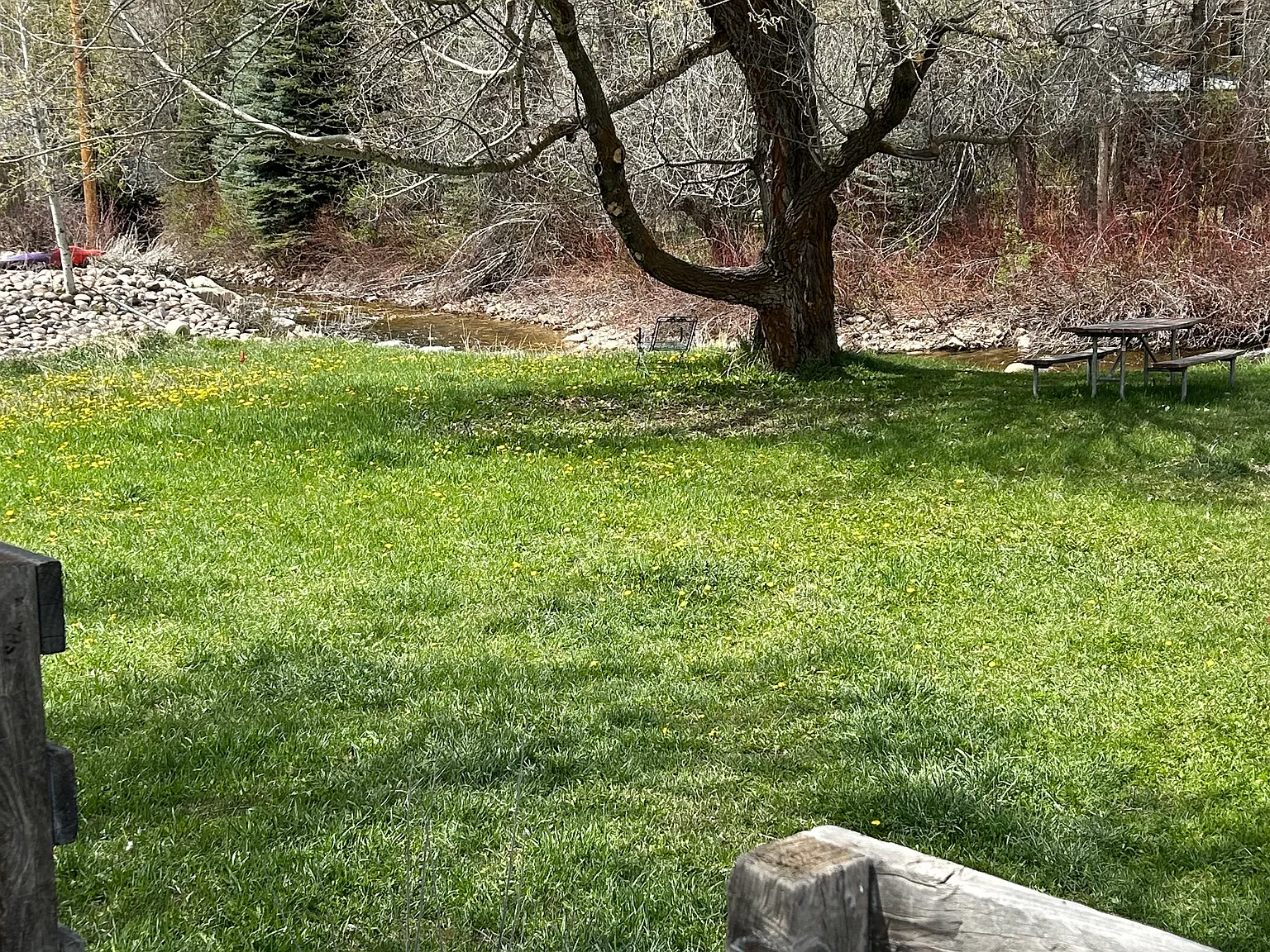 2 bed, 950 sqft, $1,300 — Photo 4