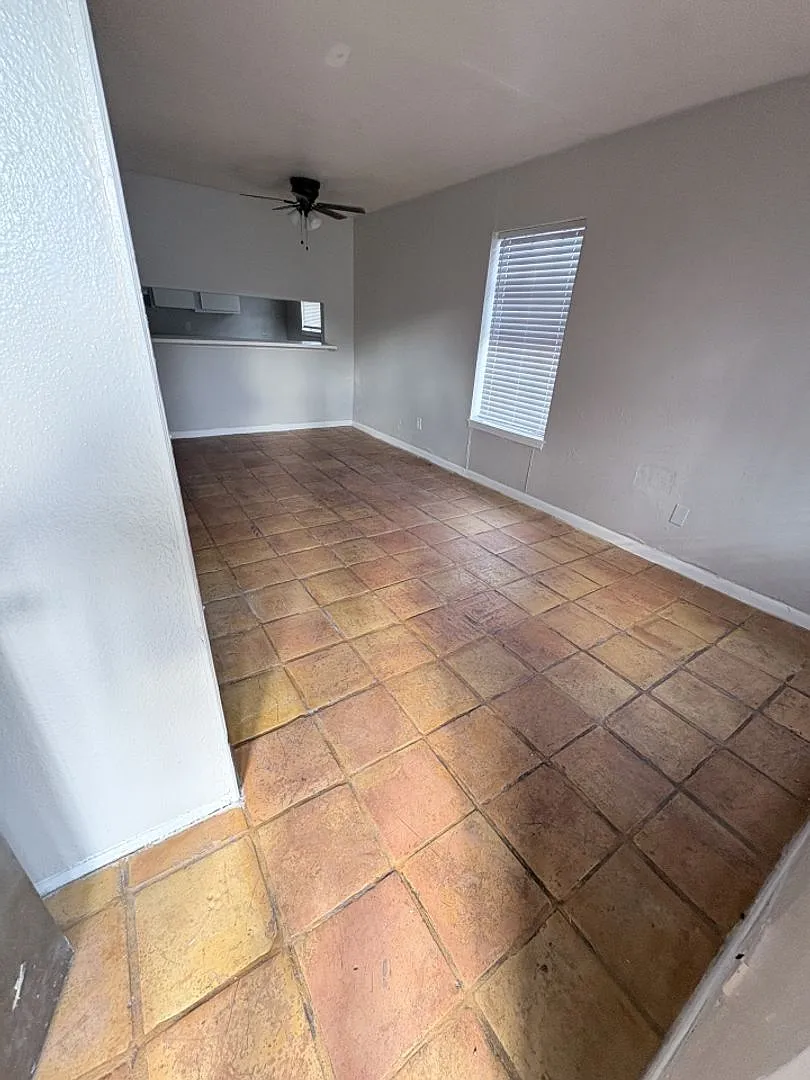 Phoenix Apartments — Photo 1