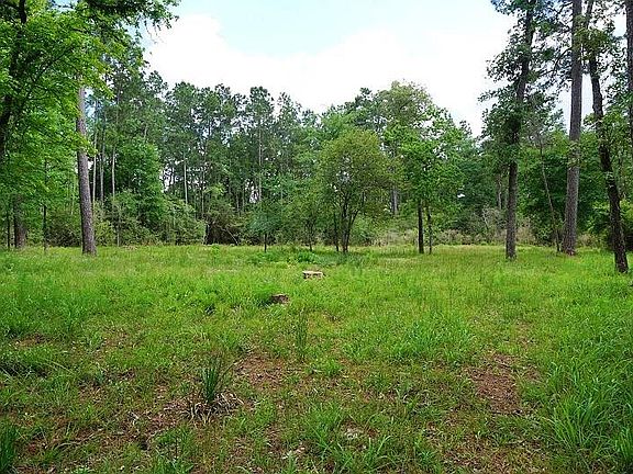 4th image of 30511 N Holly Oaks Cir