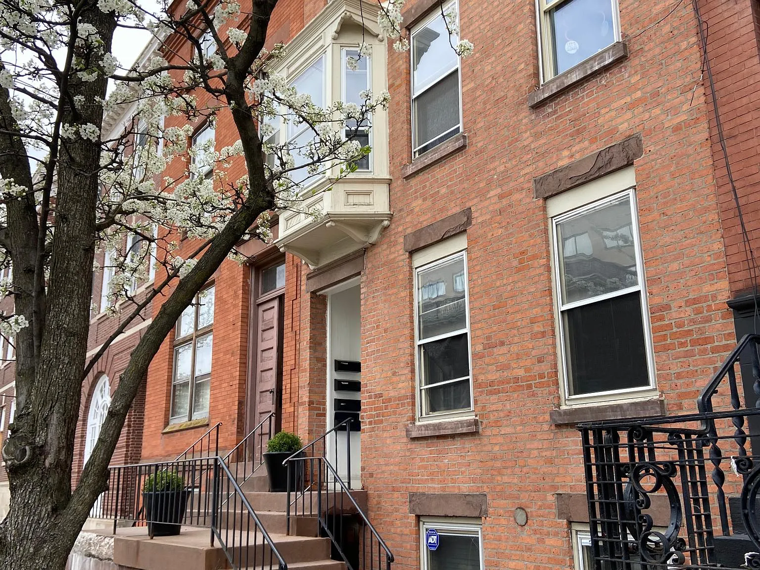 24 Dove St — Photo 3