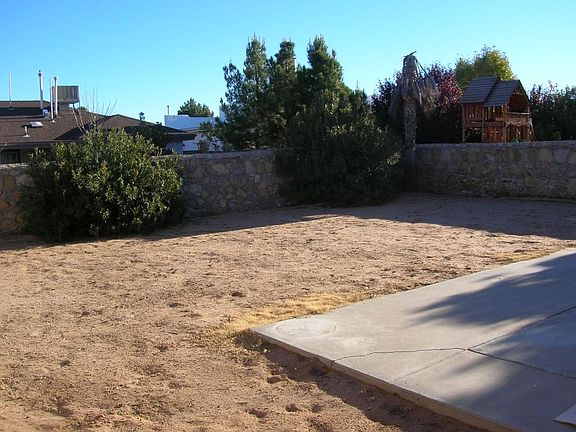 back yard