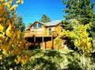39 Summit Way, Bailey, CO 80421