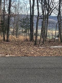 4th image of 0 Gray Rock Vw #115