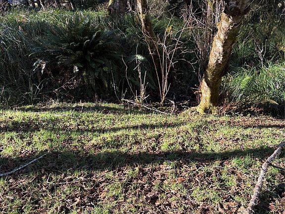 5th image of 303 XX Stackpole Lane