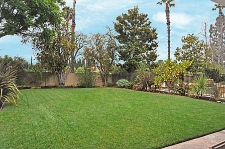 Grassy area off of pool/spa and covered patio