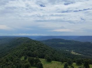TBD Sky Island Drive #40, Mount Judea, AR 72655