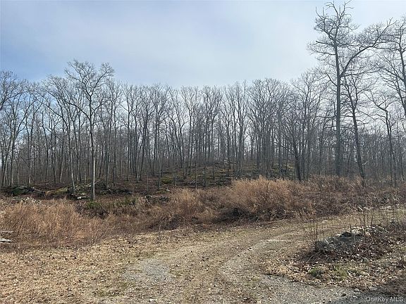 3rd image of 545 Grape Hollow Road