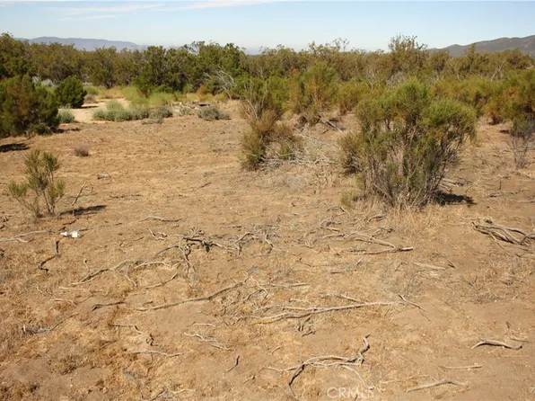 0 Howard Rd Lot 4, Anza, CA 92539