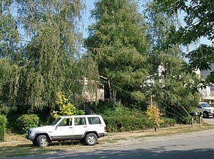 3rd image of 1303 8th Ave SE