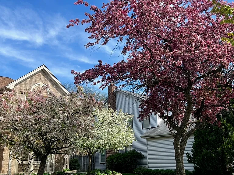 311 Orchard Ln — Photo 3