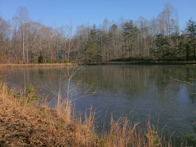 2nd image of 7512 Bentridge Forest Dr