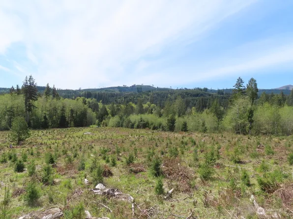 234 Herman Lewis Road, Centralia, WA 98531