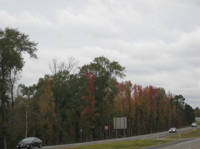 1st image of SW Stallings Dr