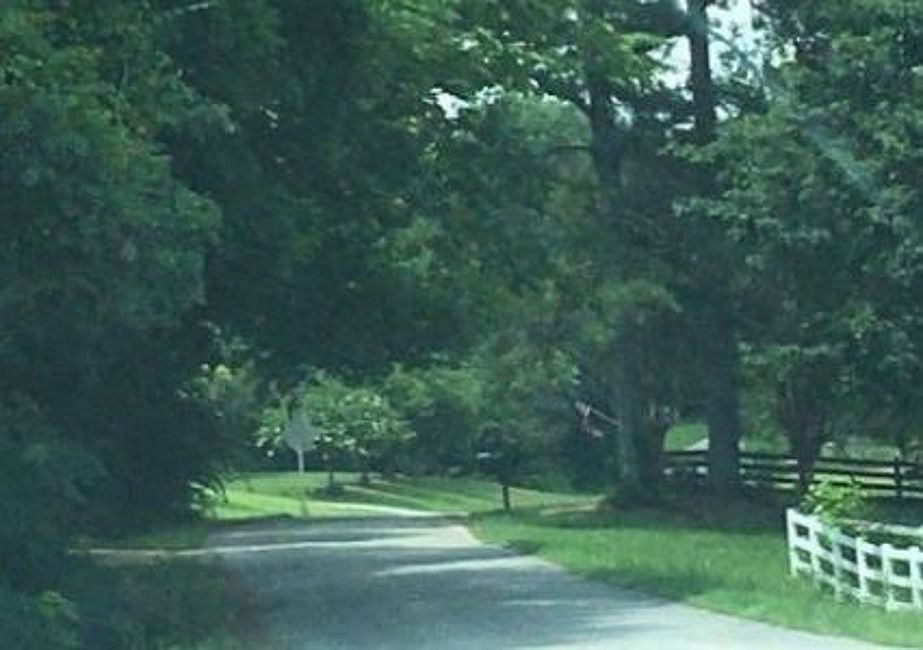 Exterior Neighborhood (street photo)