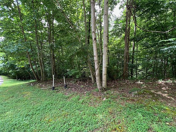 5th image of 0 Overlook Dr