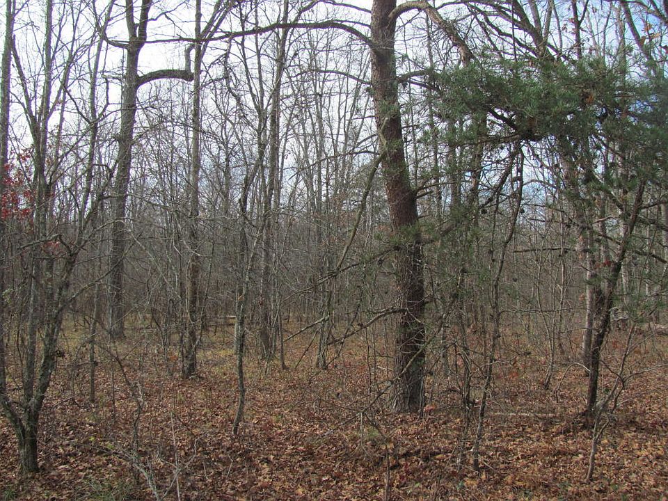 2nd image of 121 Amherst Dr