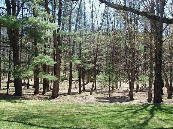 4 Shiminski Manicured Woods.jpg