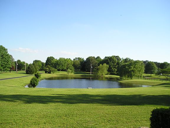 front yard from porch