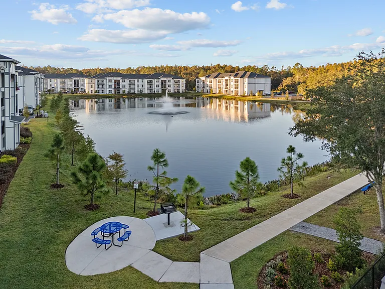 New Tampa Palms — Photo 36