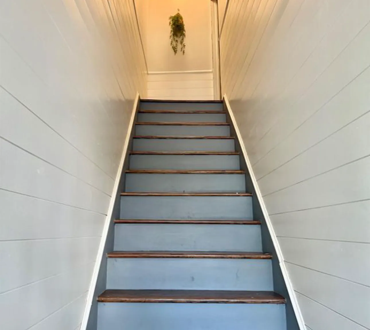 3 bed, 1120 sqft, $2,900 — Photo 3