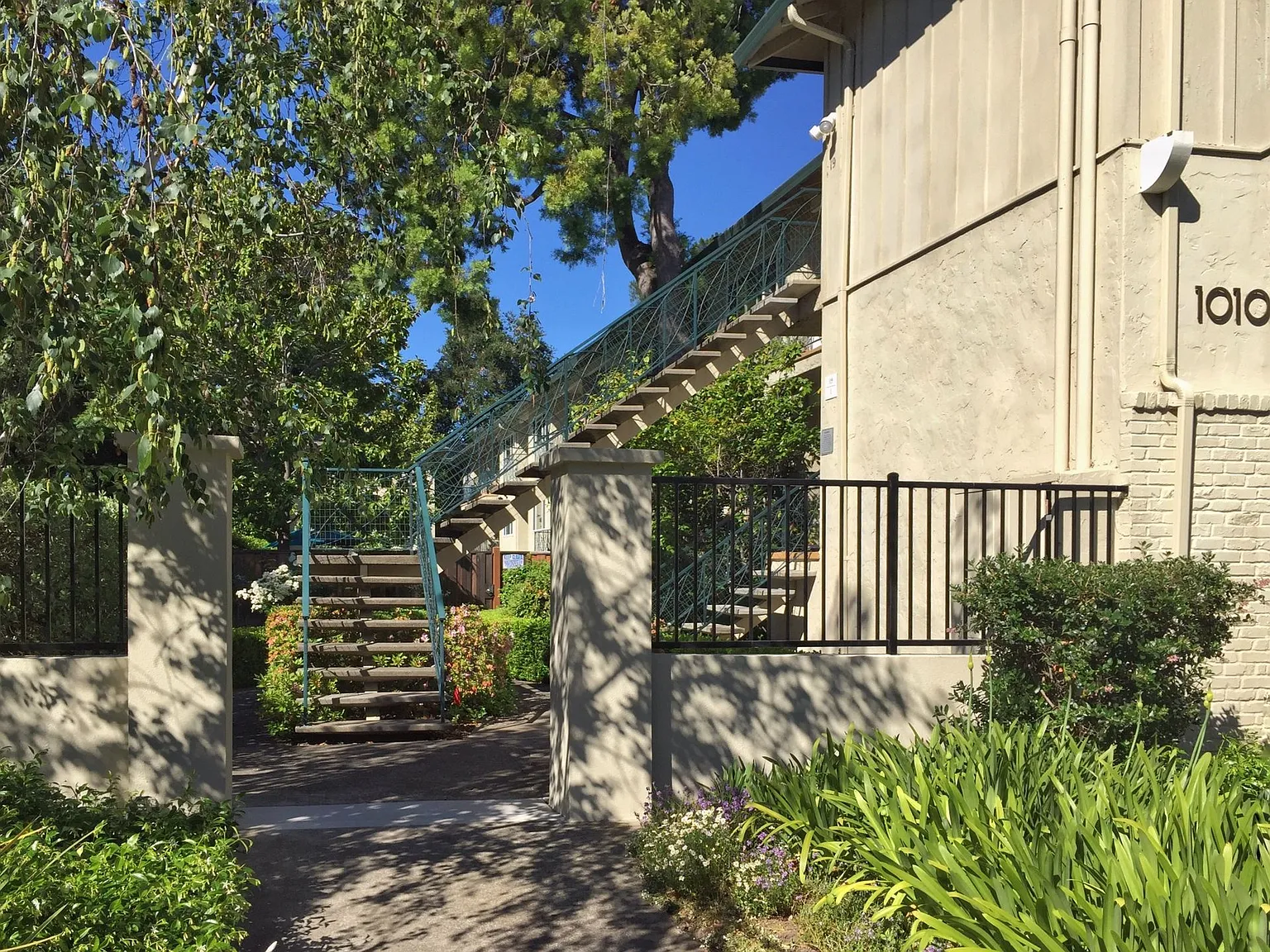 Noel Oaks — Photo 3