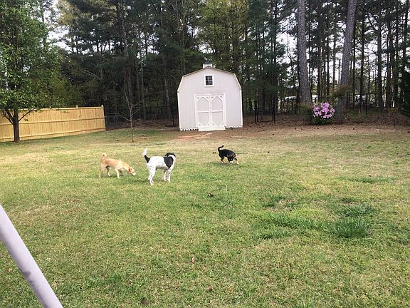 4th image of 2697 Tribble Cir